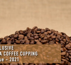#DTV Exclusive – Tanzania Coffee Cupping, The Hague – 2021