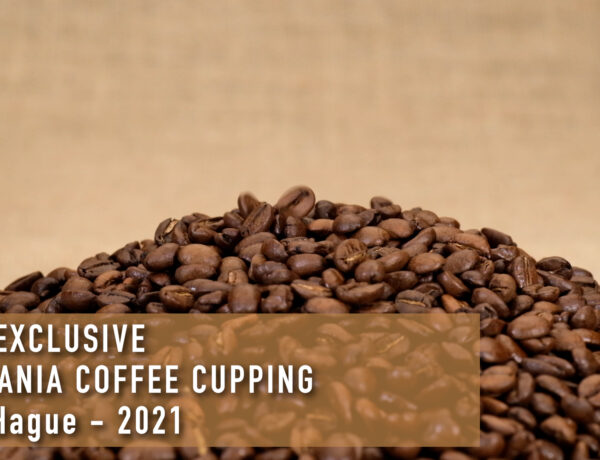 #DTV Exclusive – Tanzania Coffee Cupping, The Hague – 2021