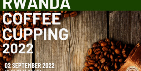 #DTV Exclusive – Rwanda Coffee Cupping