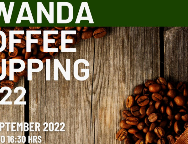 #DTV Exclusive – Rwanda Coffee Cupping